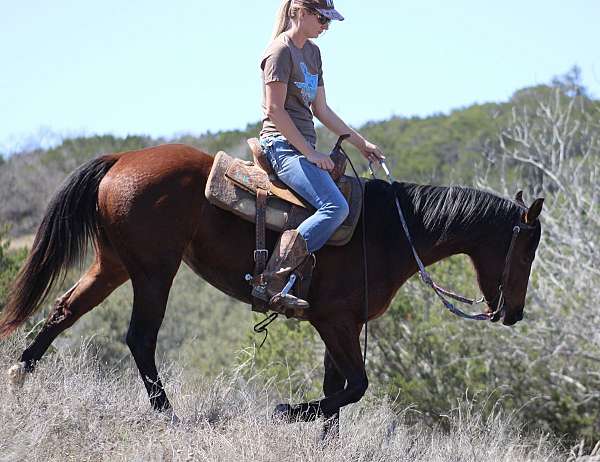 barrel-racing-quarter-horse