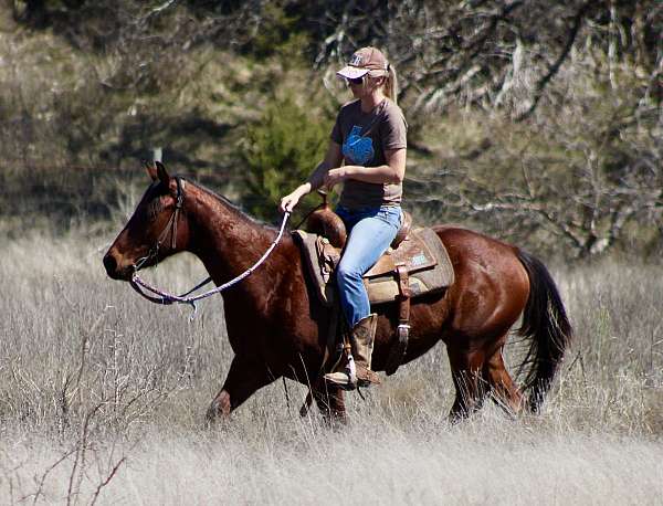 breeding-quarter-horse