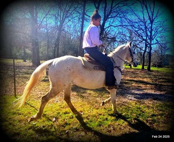 ranch-quarter-horse