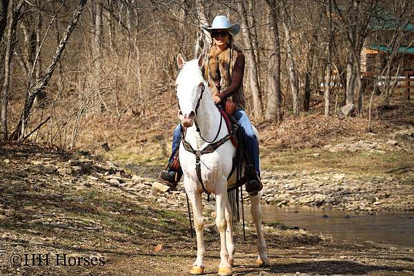 white-kentucky-mountain-for-sale