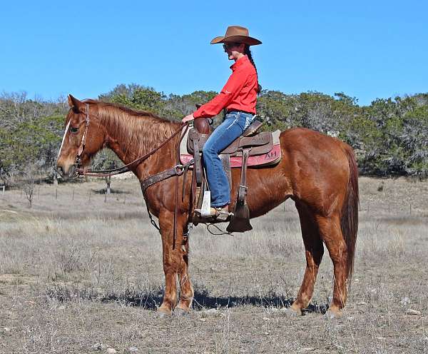 horsemanship-quarter-horse