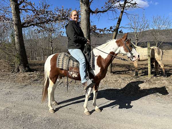 tobiano-horse