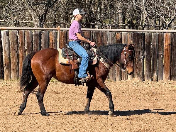 floated-quarter-pony