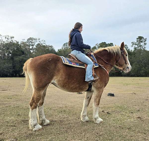 trail-trail-riding-mare