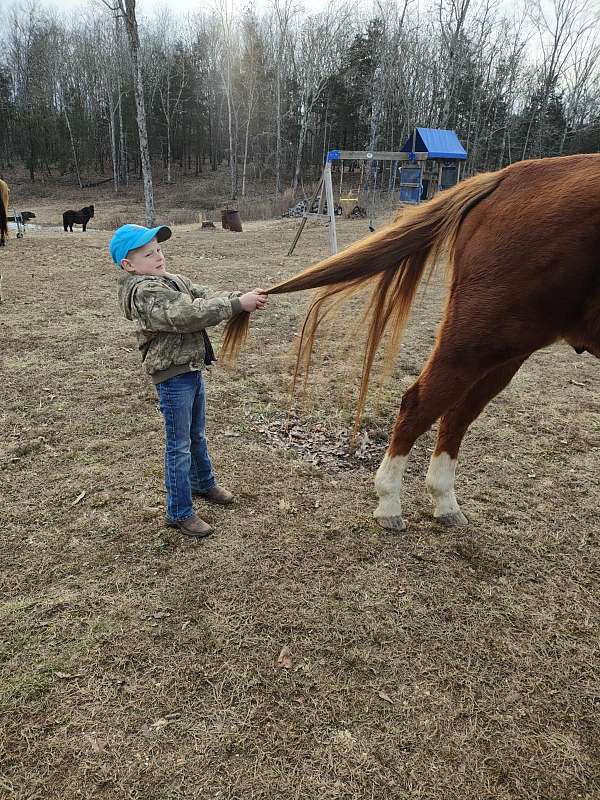 brother-can-horse