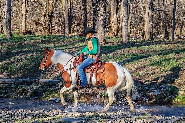 drill-team-paint-horse