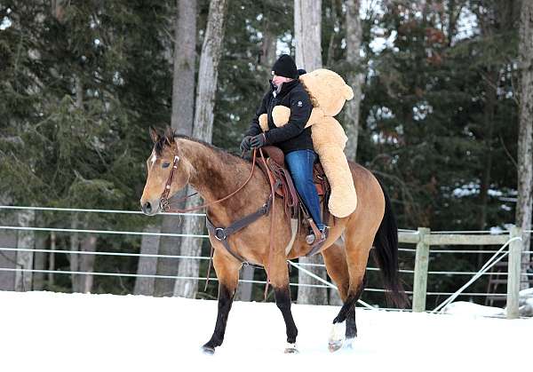 trail-quarter-horse