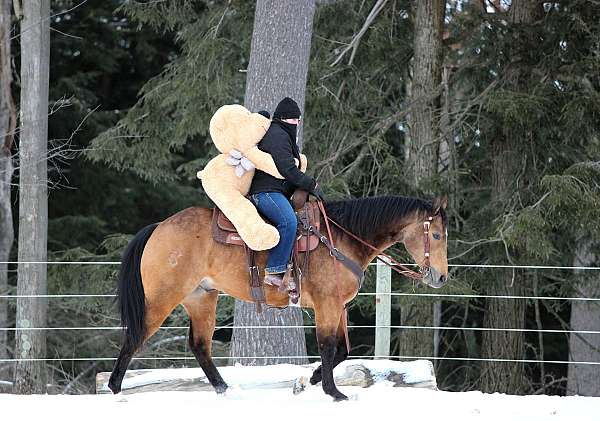 trail-riding-quarter-horse