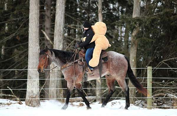 ridden-western-quarter-horse