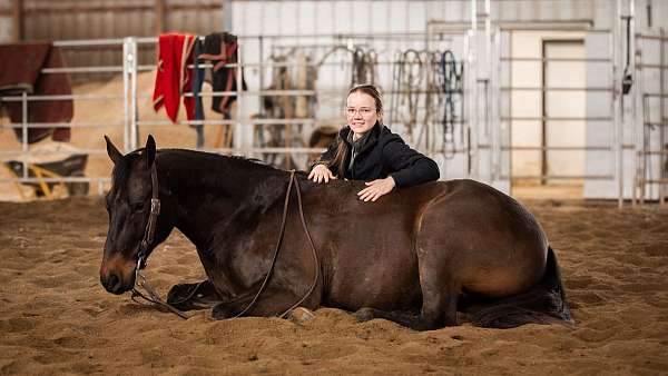 ranch-versatility-quarter-horse