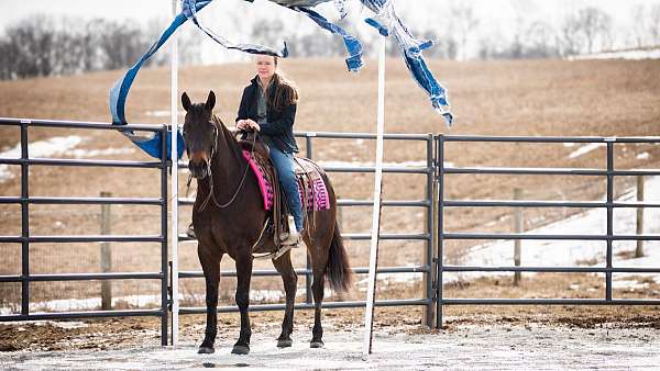 youth-quarter-horse