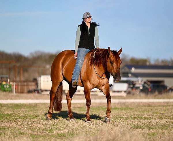 ranch-versatility-quarter-horse