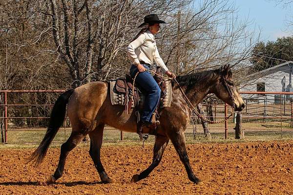 jumping-quarter-horse