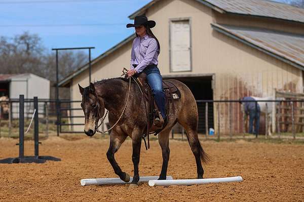 ranch-work-quarter-horse