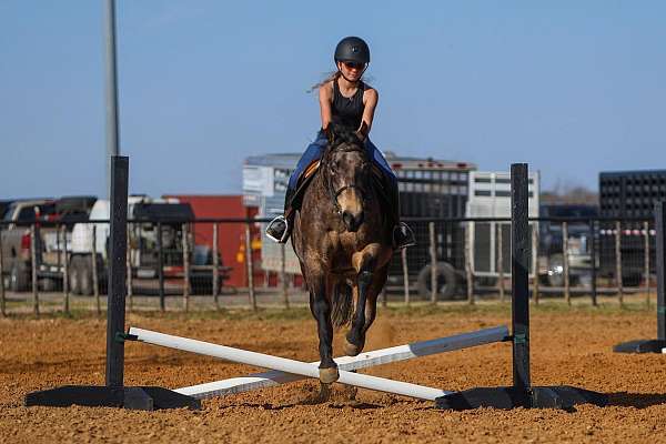 ridden-western-quarter-horse