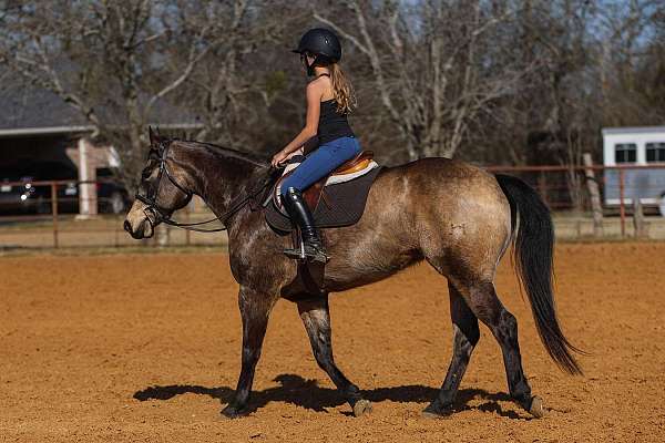 rodeo-quarter-horse