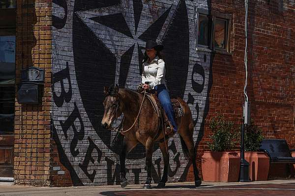 trail-riding-quarter-horse