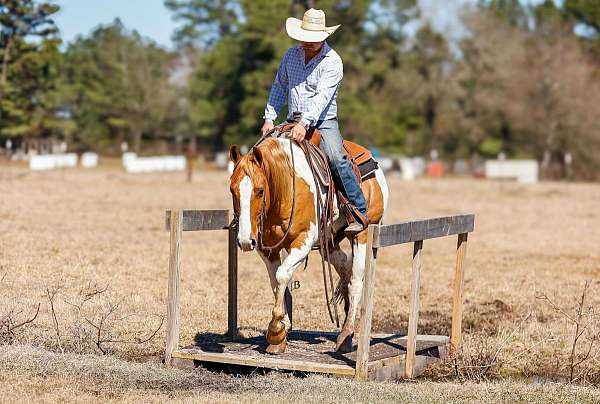 trail-riding-paint-horse