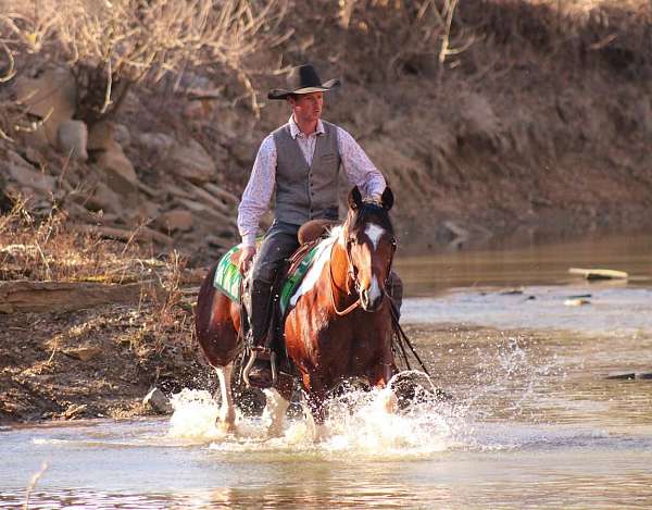 ranch-versatility-paint-horse