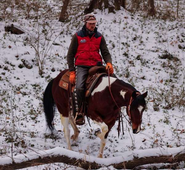 ridden-western-paint-horse