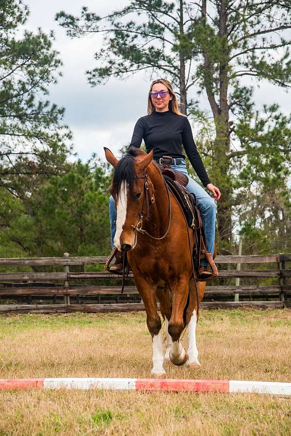 flashy-draft-horse