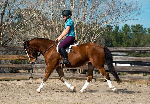 husband-safe-draft-horse