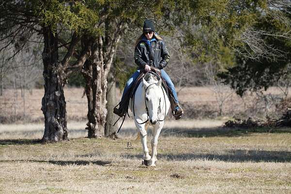 performance-quarter-horse