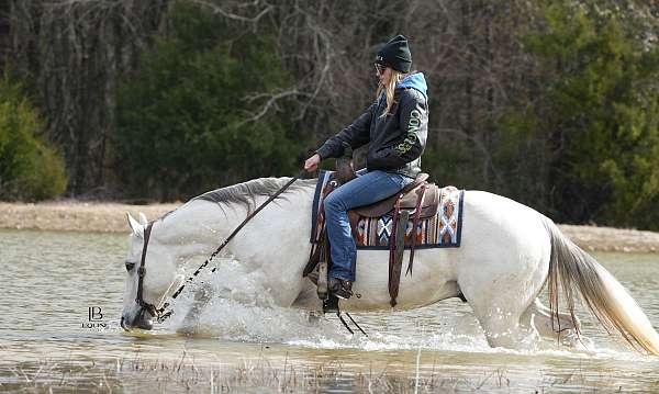 ranch-work-quarter-horse