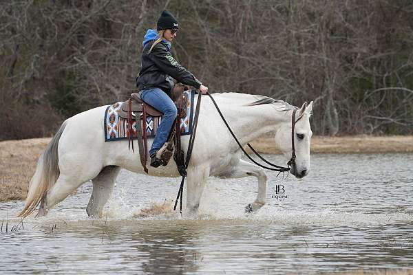 roping-quarter-horse