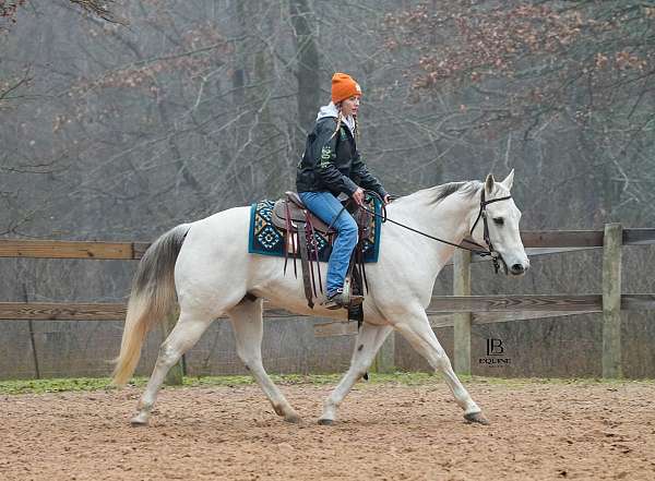 trail-quarter-horse