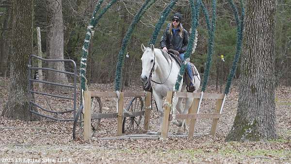 western-riding-quarter-horse