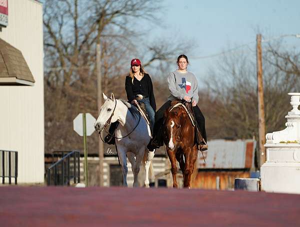 trail-riding-quarter-horse