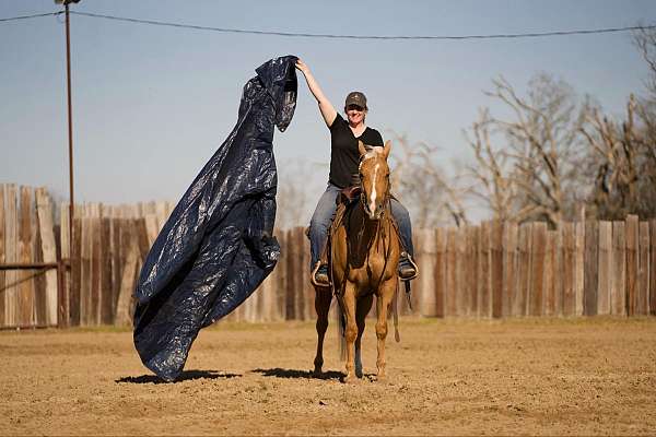 barrel-racing-quarter-horse