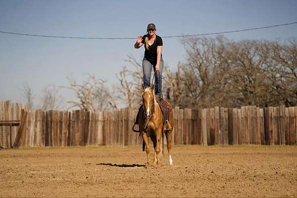 ranch-versatility-quarter-horse