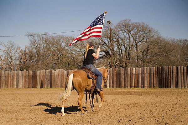 ranch-work-quarter-horse