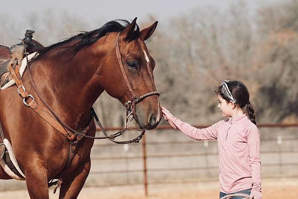 athletic-quarter-horse