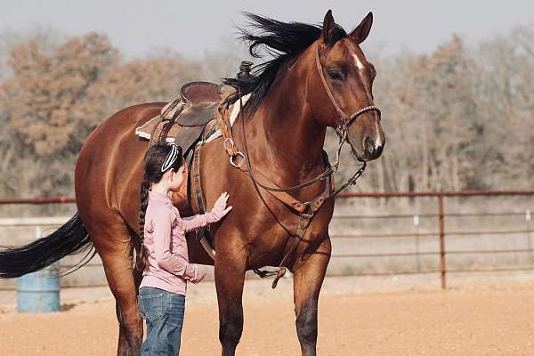 calf-roping-quarter-horse