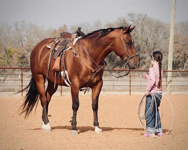 heading-quarter-horse