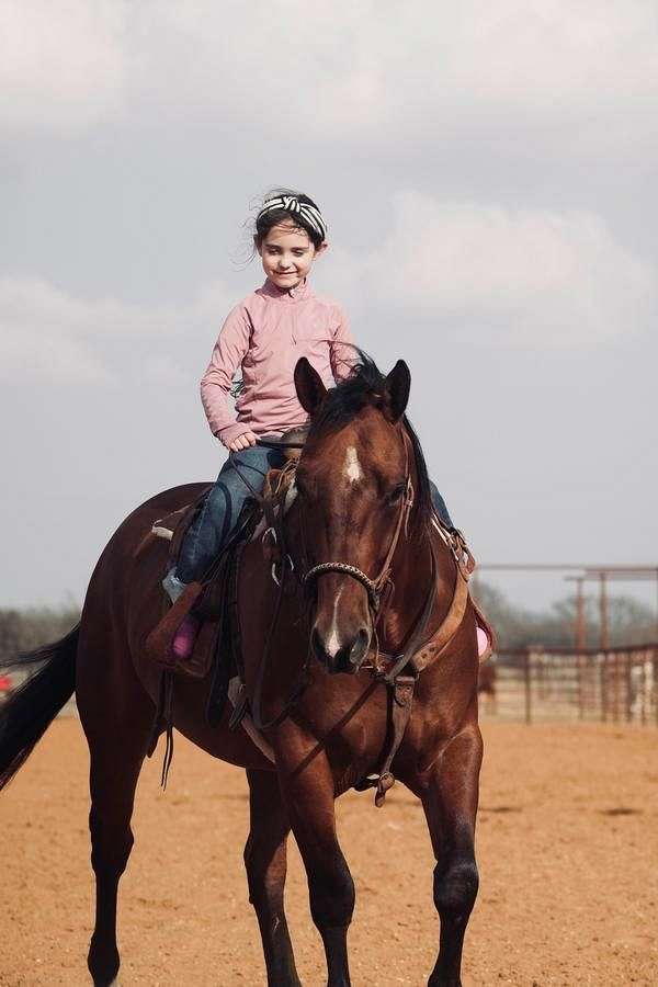 kid-safe-quarter-horse