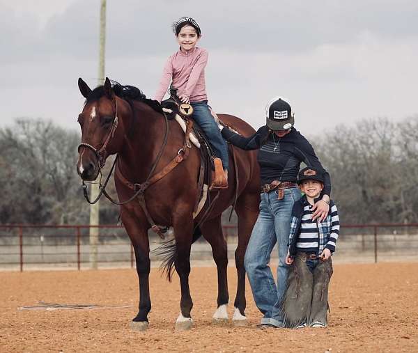 ranch-versatility-quarter-horse