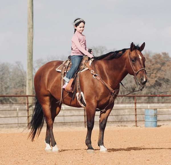 ranch-work-quarter-horse