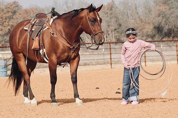 roping-quarter-horse