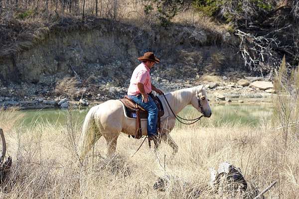 roping-quarter-horse