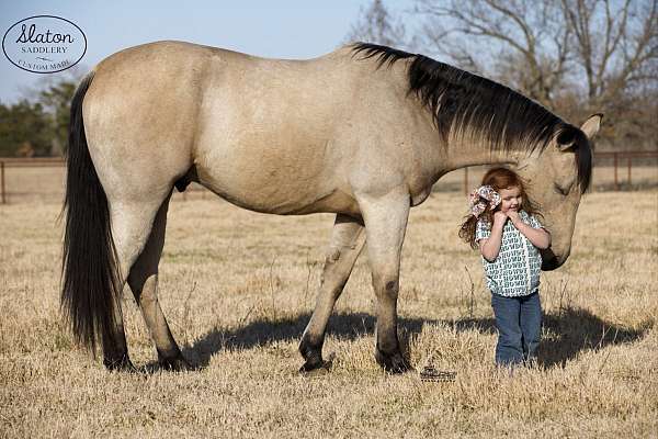 kid-safe-quarter-horse