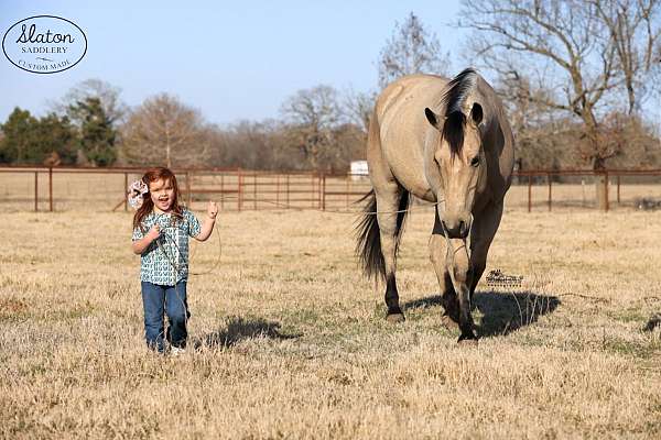 ranch-versatility-quarter-horse