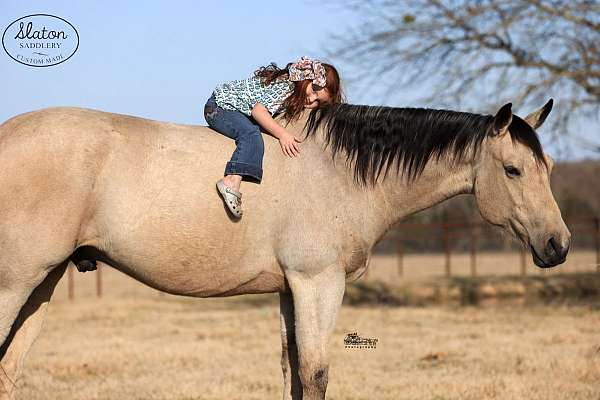 ranch-work-quarter-horse