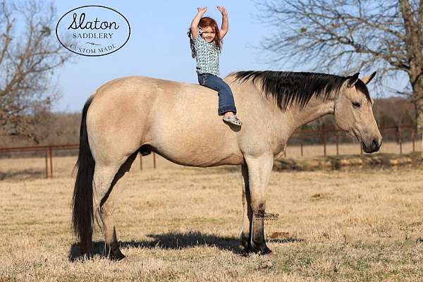 roping-quarter-horse