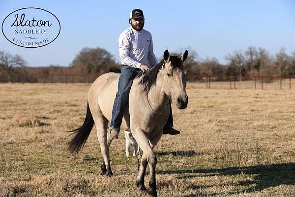 trail-riding-quarter-horse