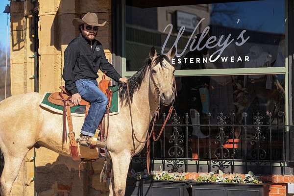 western-riding-quarter-horse