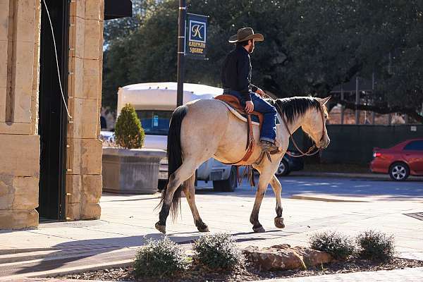 youth-quarter-horse